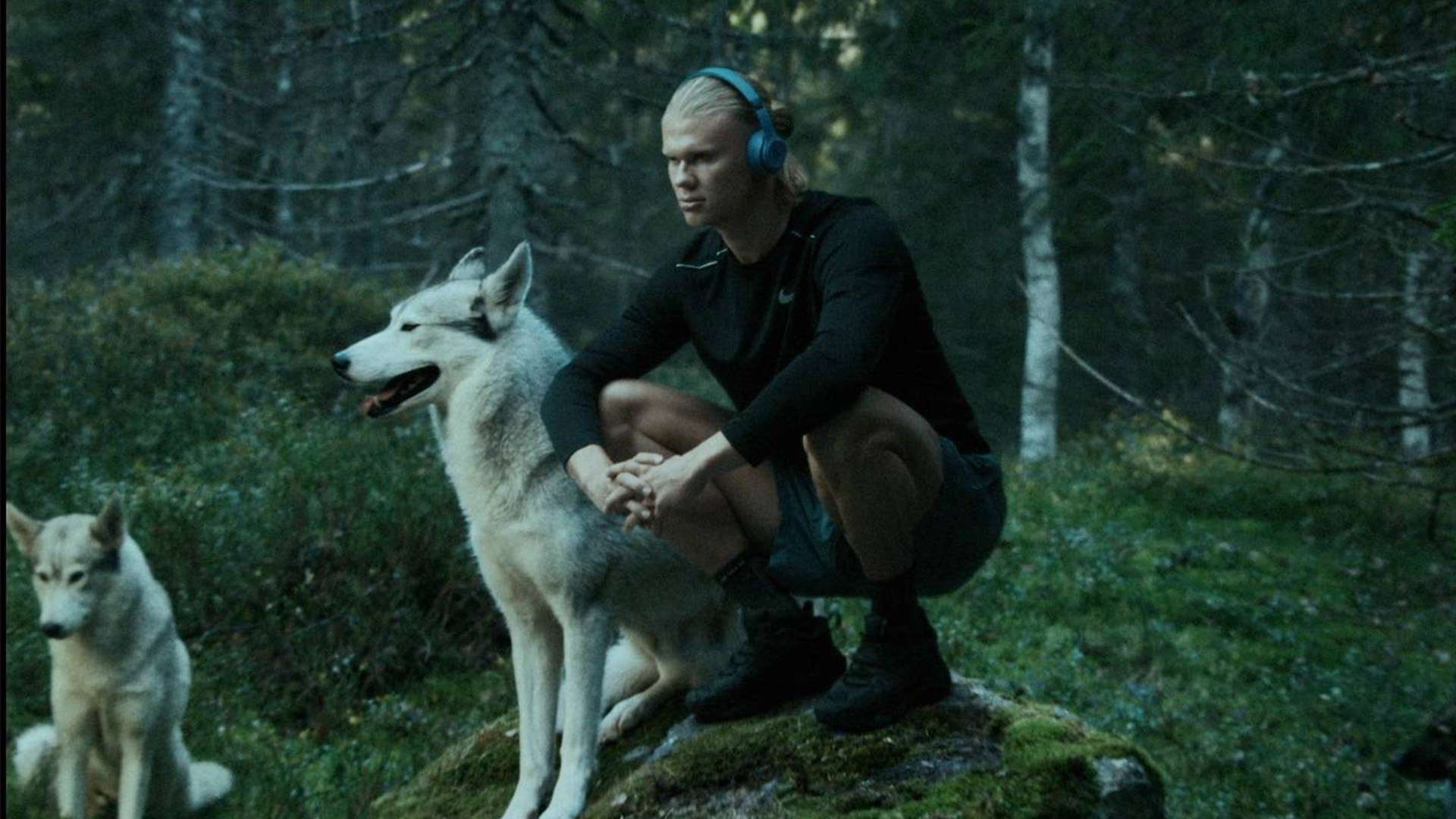 我们可以更 我们可以更